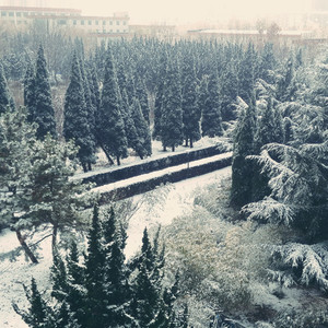 12月4日下午3点多