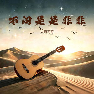 不问是是非非