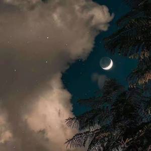 我好想你（翻自 原唱：钢琴版）