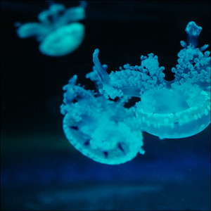 I Love You To The Moon And Back