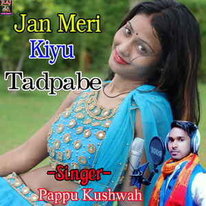 Jan Meri Kiyu Tadpabe