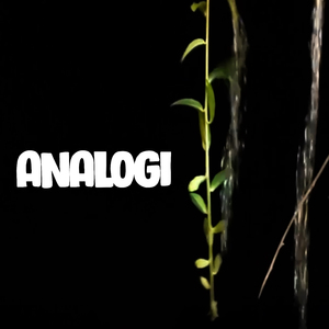 Analogi (Acoustic Version)