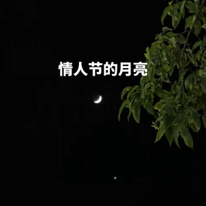 情人节之夜（泰卢固语）