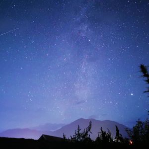 等待星光闪耀之时