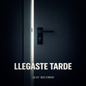 Llegaste tarde