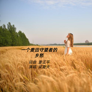 一个麦田守望者的乡愁