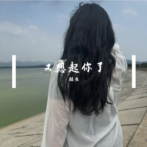 顾爽我的光芒