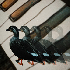 我儘な僕のうた (Live at 真昼の月夜の太陽, 東京, 2025)