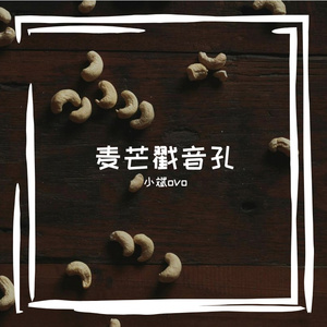 麦芒戳音孔