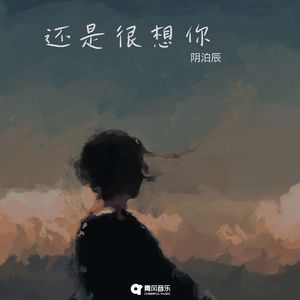 还是很想你