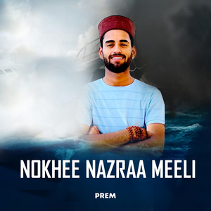 Nokhee Nazraa Meeli