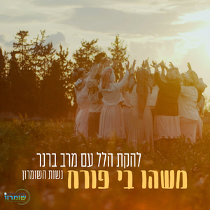 משהו בי פורח