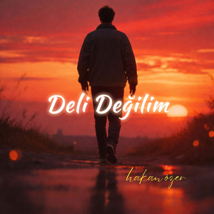 DELİ DEĞİLİM