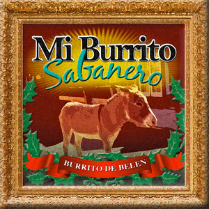 Mi Burrito Sabanero (Salsa)