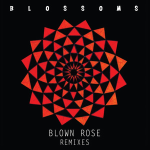 Blown Rose (Alan Braxe Remix)