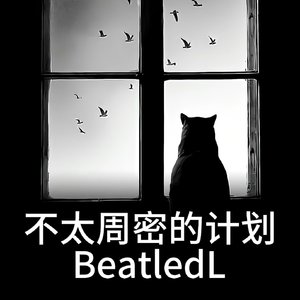 不太周密的计划