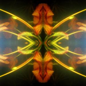 A Soft Touch In Time