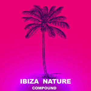 Sound 51 (Ibiza Son Dub Remix)