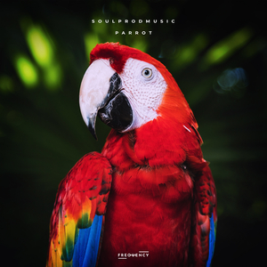 Parrot