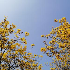 我们是一家人（we are family）