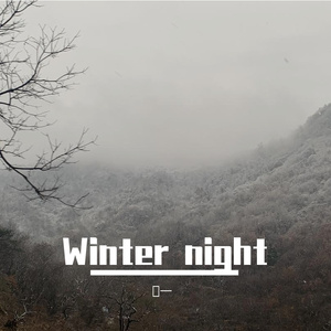 Winter night