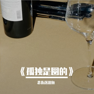 《孤独是圆的》