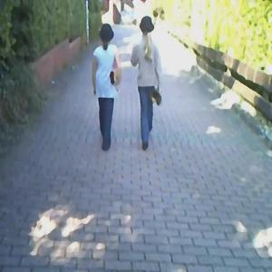 GEMA nach Hause (Clean Mix)