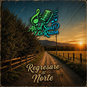 Regresare Al Norte