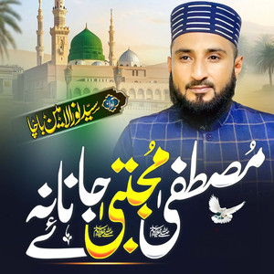 Mustafa Mujtaba Jananae