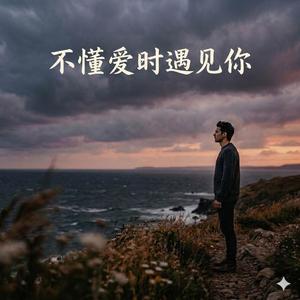 不懂爱时遇见你