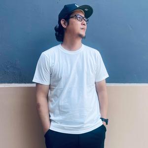 Eroplanong Ligaw