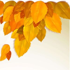 秋叶离愁（竹笛） 伴奏