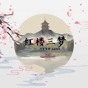 红楼三梦 (DJ版)