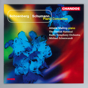 Piano Concerto, Op. 42: I. Andante