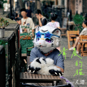 清晨的猫