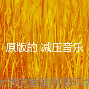 一尘不染睡觉印象数