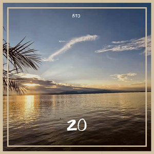 20