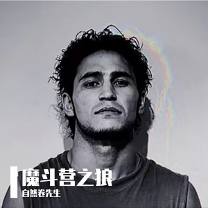 魔斗营之狼