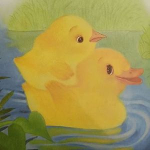 THE DUCK AND CHICHEN