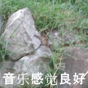 音乐感觉良好