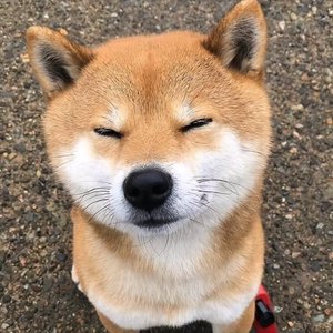 阳光不燥微风正好 无和声版