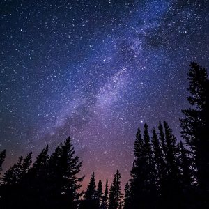 像极了迷失的夜晚