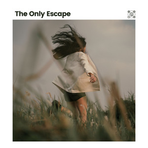 Stars as Night Lights