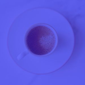 一尘不染早晨印象数