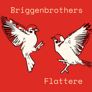 Flattere