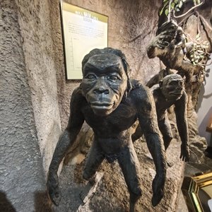 给自己一个机会