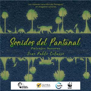 Noche en el Sendero Arirai