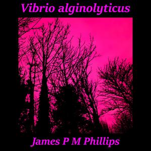 Vibrio alginolyticus