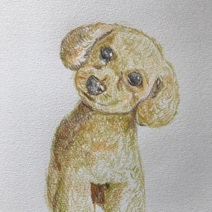 私はその手を離さない