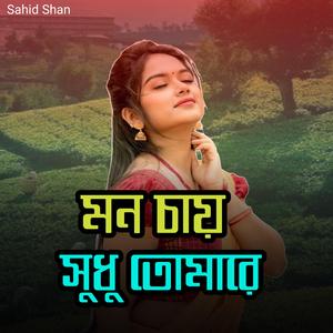 মন চায় সুধু তোমাকে